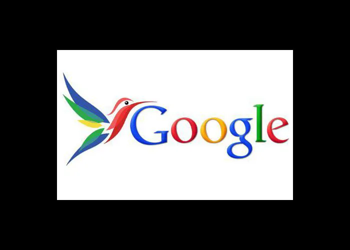 Google Hummingbird: cos’è e come funziona