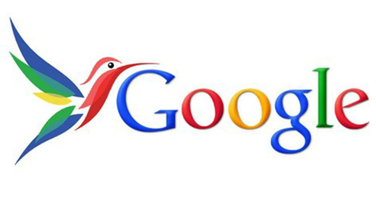 Google Hummingbird: cos’è e come funziona