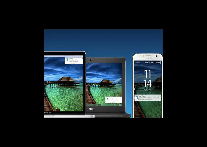 Notifiche Push Web, funzionamento e vantaggi
