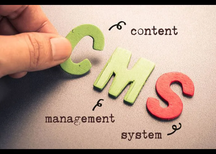 Usare un CMS o affidarsi ad uno sviluppatore?