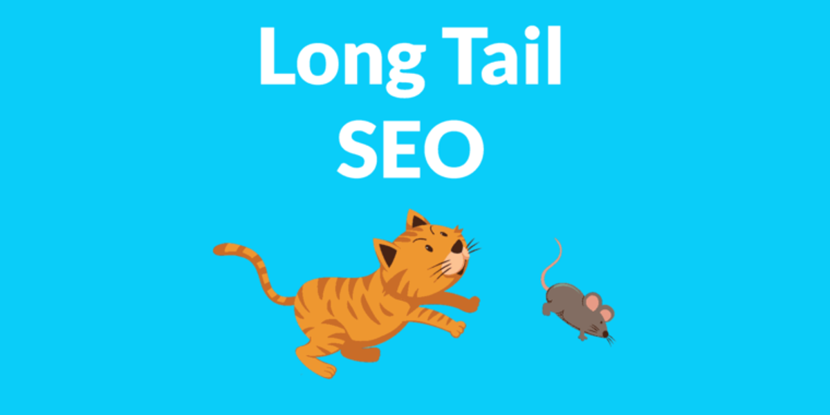 Cos'è la long tail e come può essere utilizzata per posizionarsi