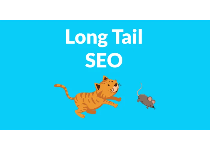 Cos'è la long tail e come può essere utilizzata per posizionarsi