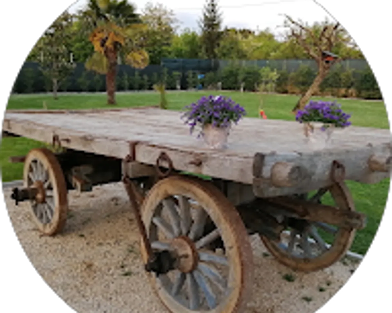 Azienda Agricola Madeko