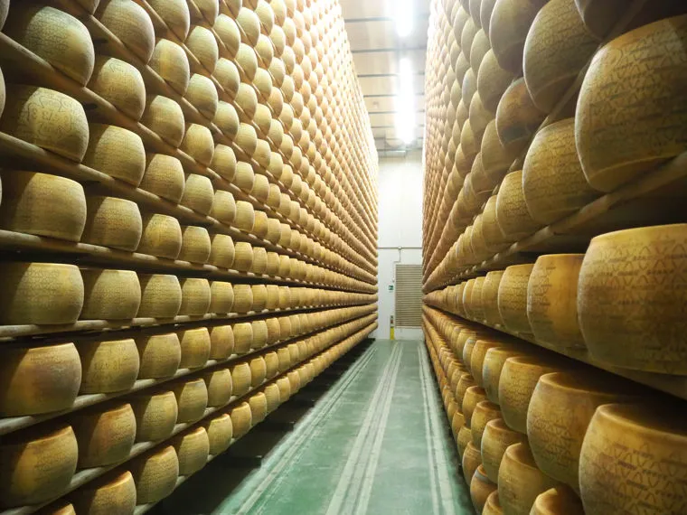 Il corridoio di stagionatura, con le forme di formaggio accatastate sulle scalere